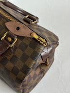 Louis Vuitton 2007 Damier Ebene Canvas Speedy 25 Handbag
